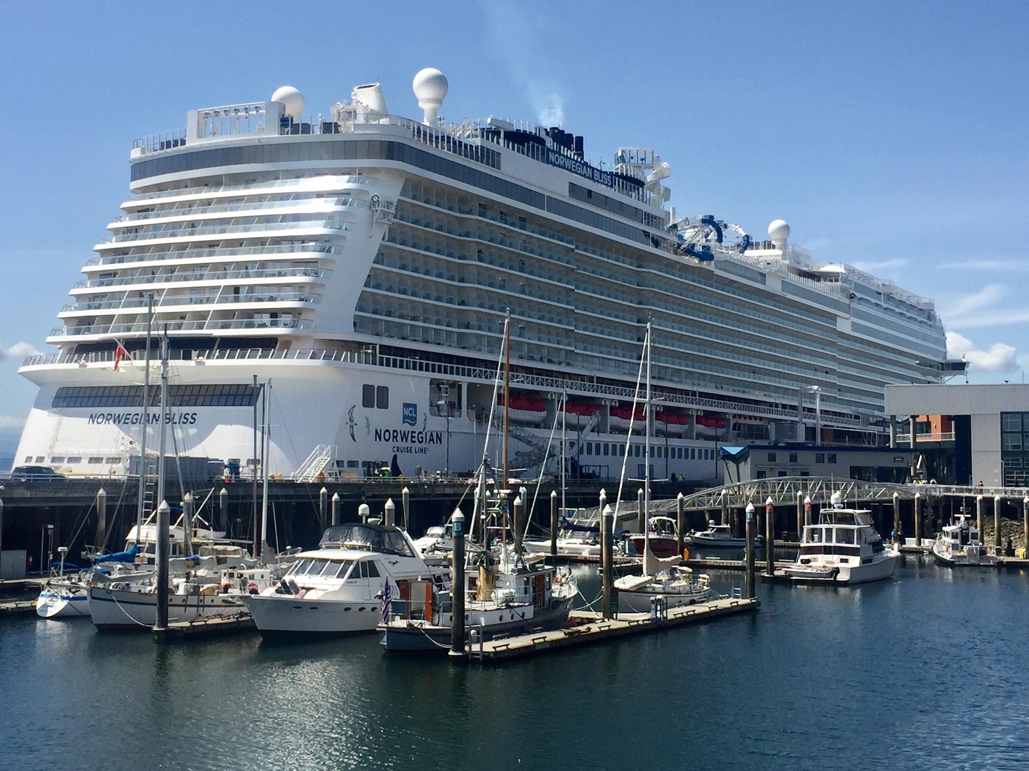 norwegian bliss cruise ship